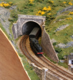 Trains approach Rowandale station via a tunnel under moorland, with gorse in flower.