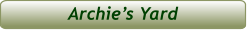 Archie’s Yard